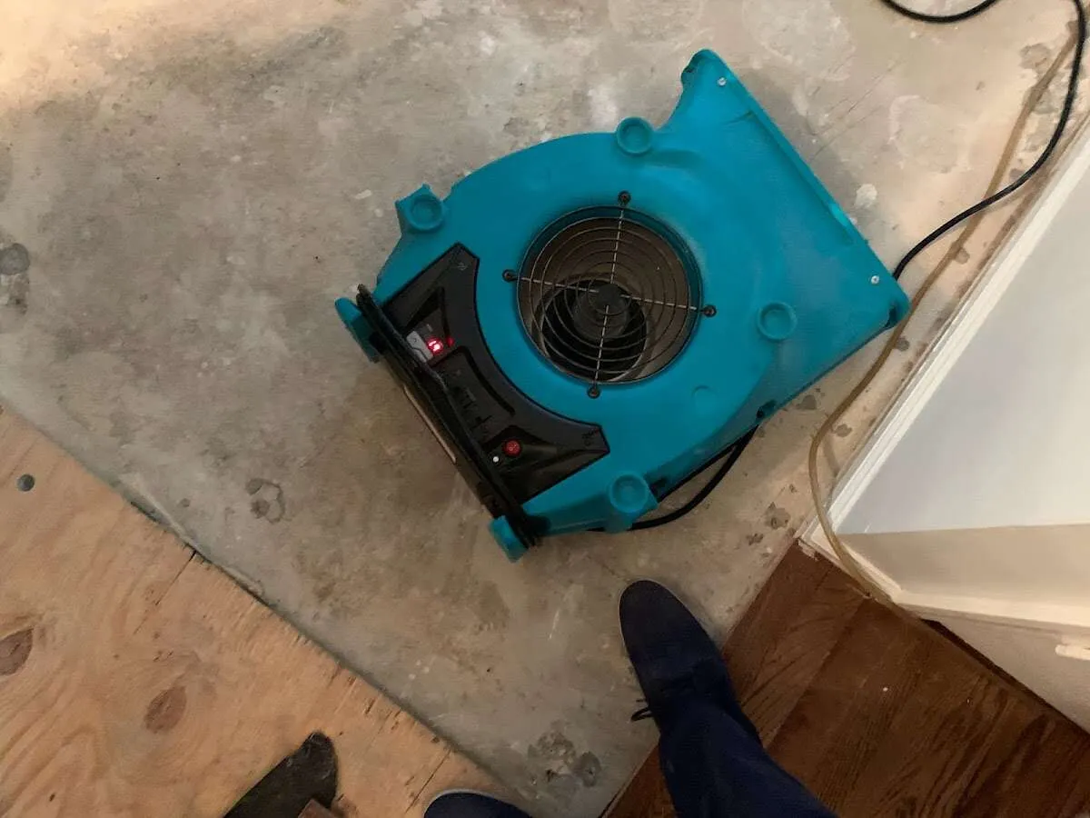 Air mover drying subfloor during Leak Detection & Repair in Wedgefield